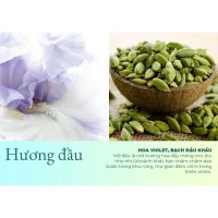Nước hoa unisex Evor F-TWO A TOUCH OF SANDAL (Kỳ nghỉ ở nhà gỗ) 10ml – Phóng khoáng hoang dại