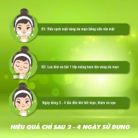 Kem Giảm Mụn Mủ, Mụn Bọc, Mụn Đỏ Và Mụn Trứng Cá Acnevir Santafa - Tuýp 10gr