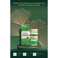 TPBVSK Condition Ginkgo Hỗ trợ tuần hoàn máu não - Hộp 60 viên